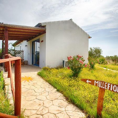 Agriturismo Mieleamaro Villa Olbia Eksteriør bilde