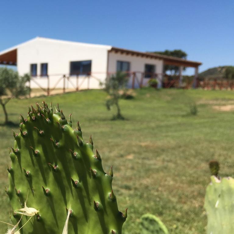 Agriturismo Mieleamaro Villa Olbia Eksteriør bilde