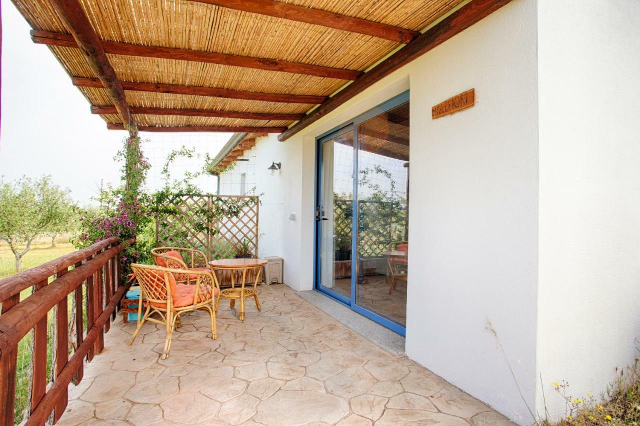 Agriturismo Mieleamaro Villa Olbia Eksteriør bilde